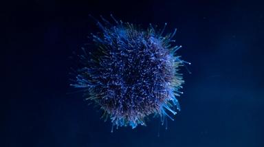 Réinventer la recherche scientifique : un modèle plus collaboratif au service des citoyens