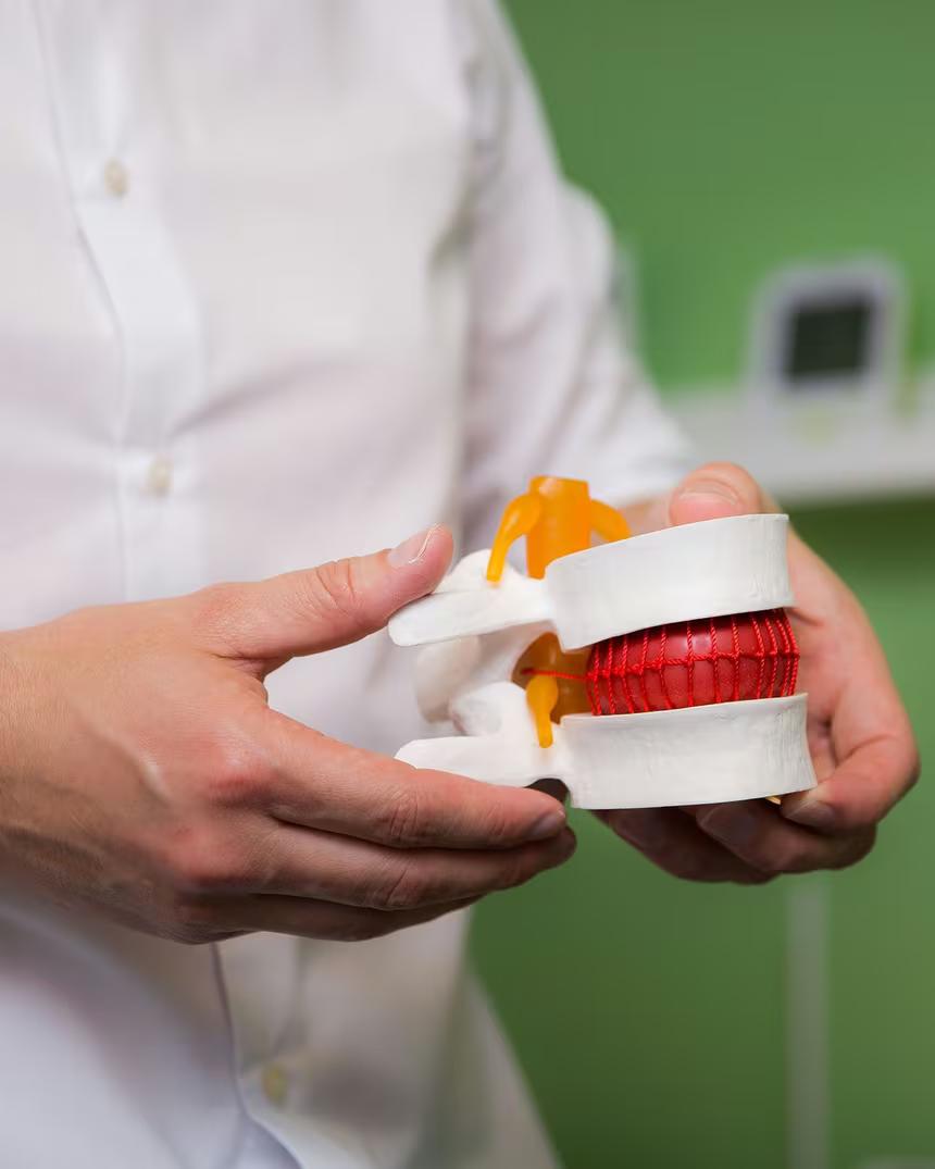 A chiropractor explaining a problem using a vertebra model