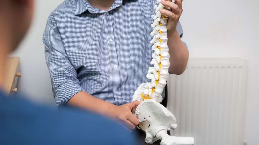 A practitioner in a checked shirt holding a model of the human spine while talking with a patient