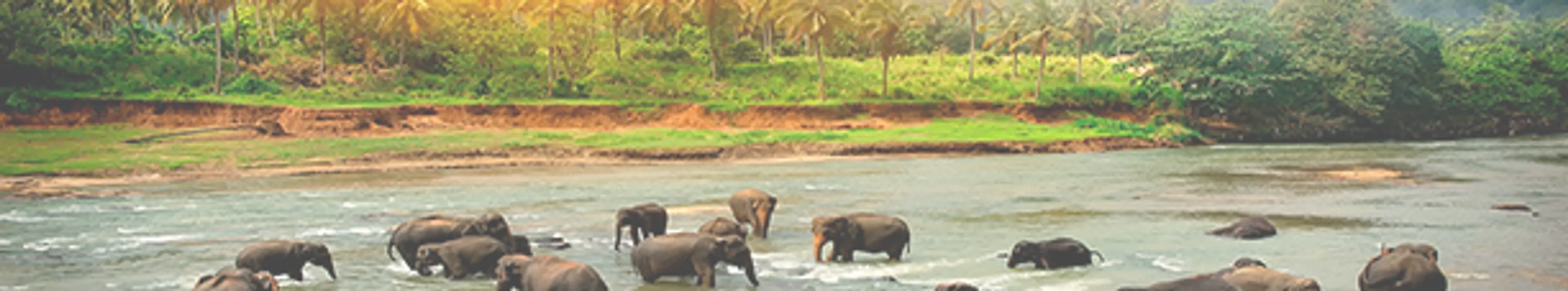 Use Case - Environmental Oversight