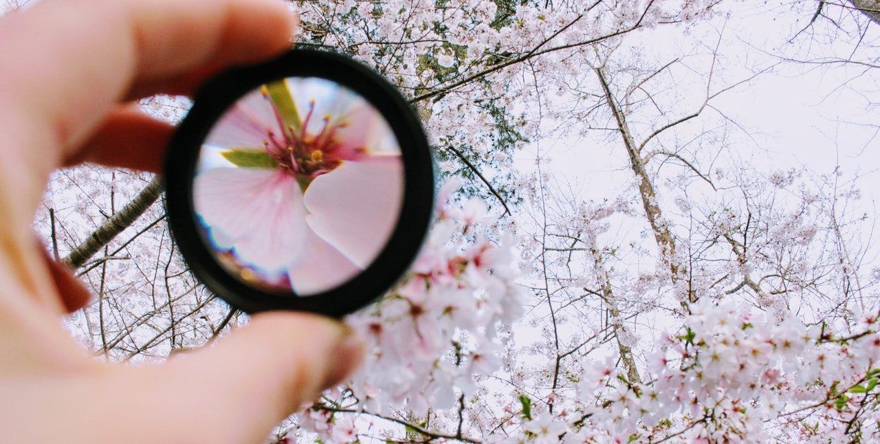 Deep Learning Brings Fuzzy English-to-Japanese Name Matching Into Focus