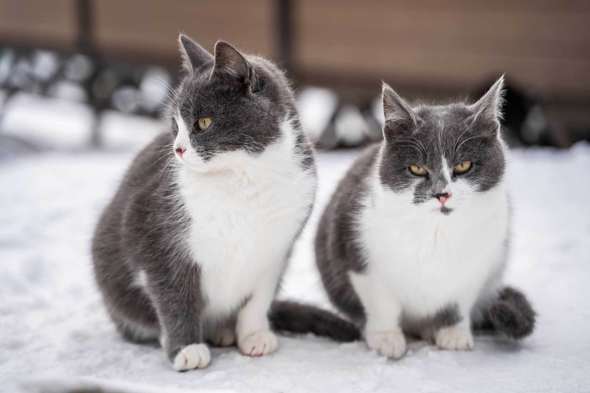 What is Fuzzy Matching? Explore how Fuzzy Logic Boosts Name-matching Accuracy