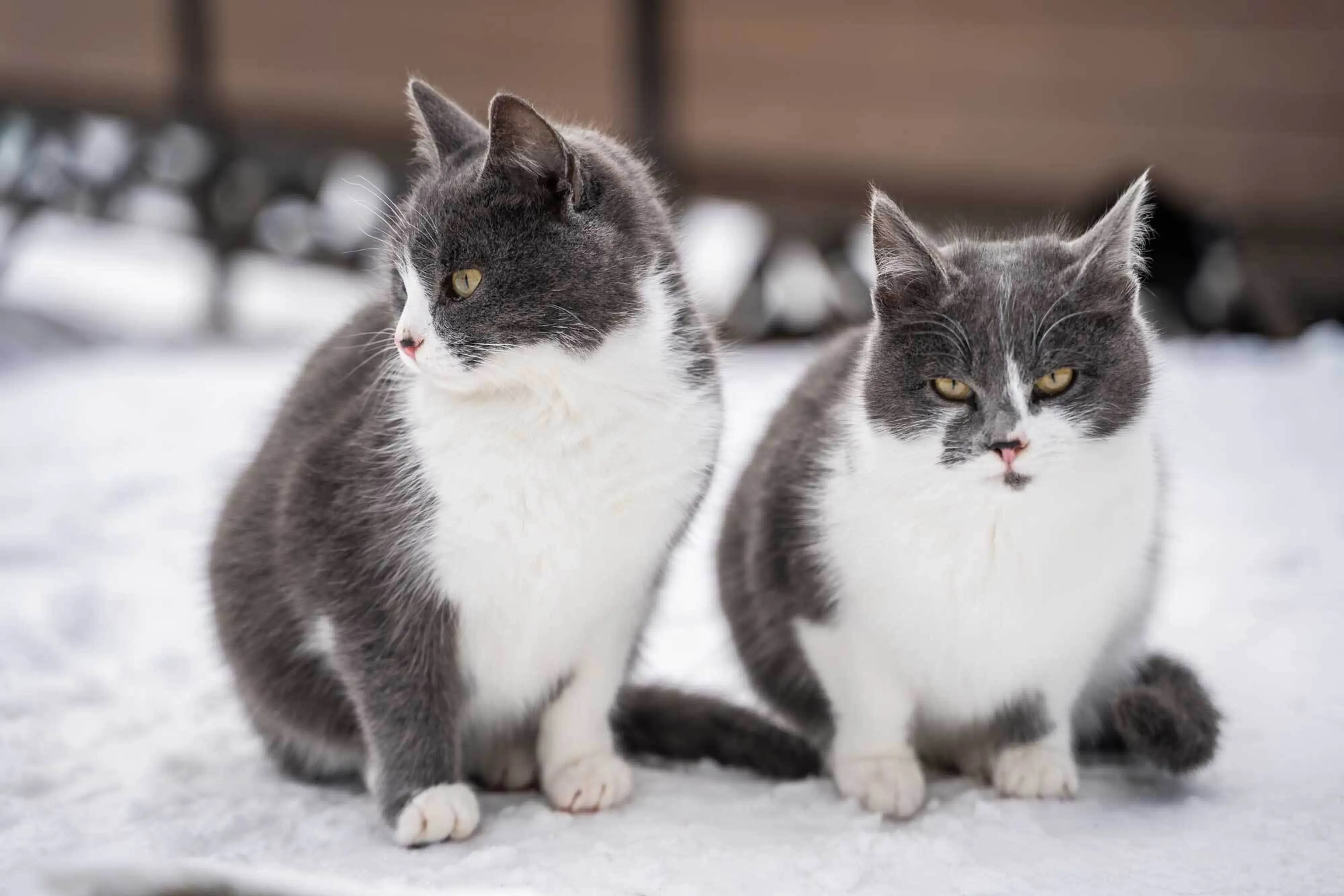 What is Fuzzy Matching? Explore how Fuzzy Logic Boosts Name-matching Accuracy