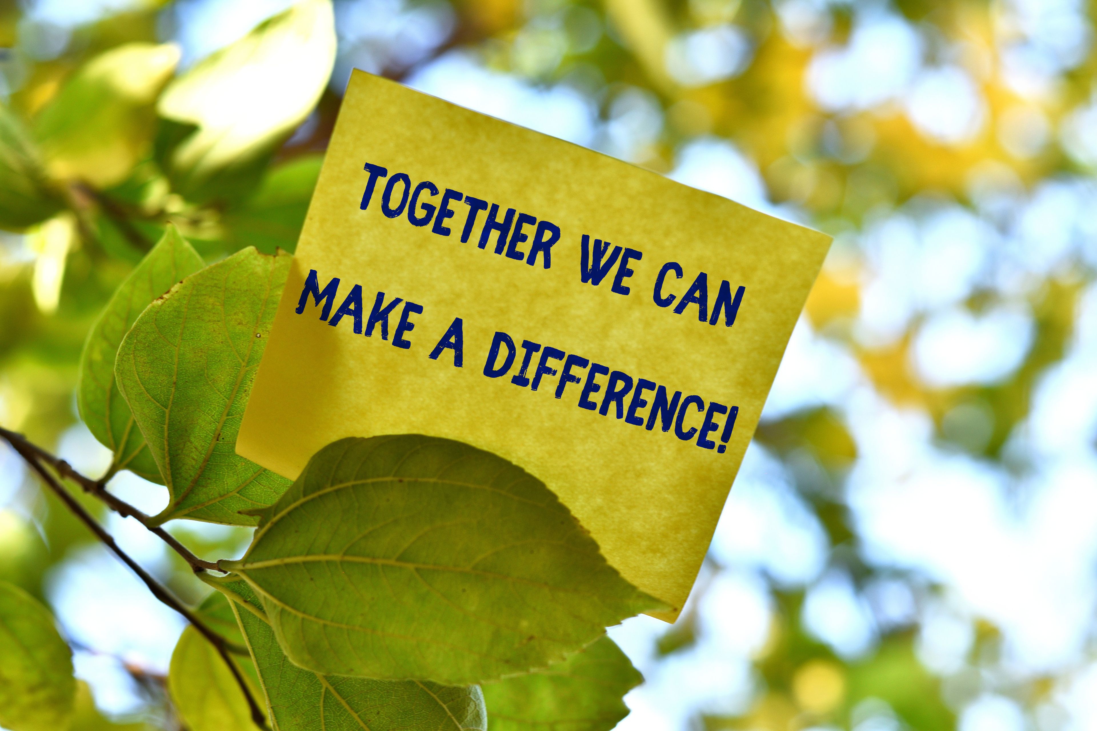 Honoring the Green: A Cause Close to Our Hearts