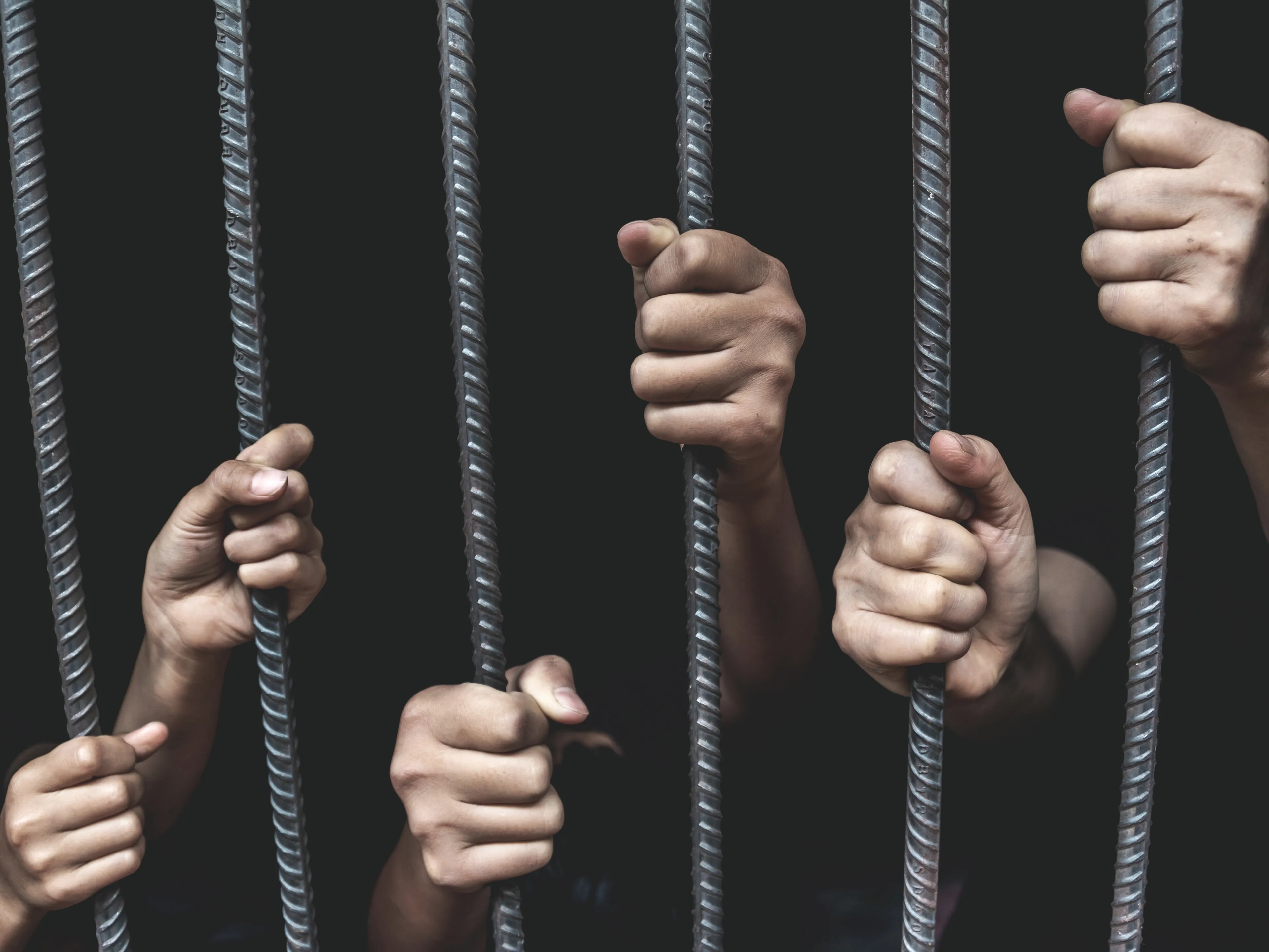 Babel Street Solutions Help Detect Human Trafficking