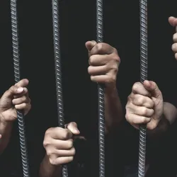 Babel Street Solutions Help Detect Human Trafficking