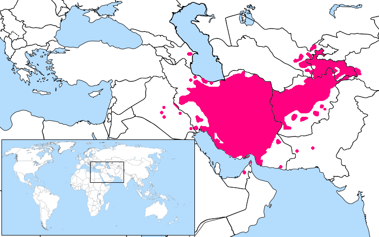 What Does It Mean to Support Persian Text Analytics