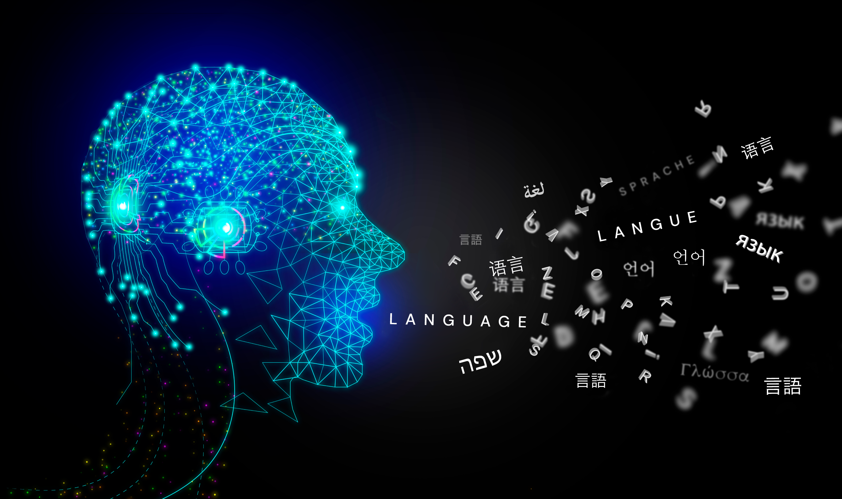 A Digital Circuit Human Face Speaking Multiple Language.