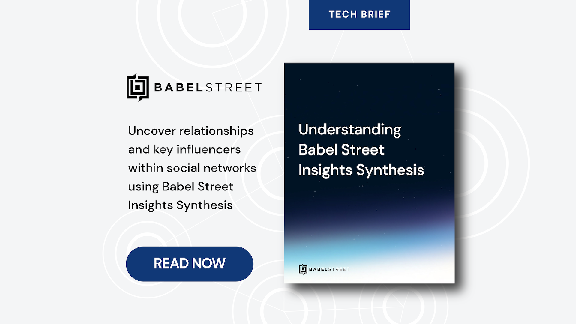 Understanding Babel Street Insights Synthesis