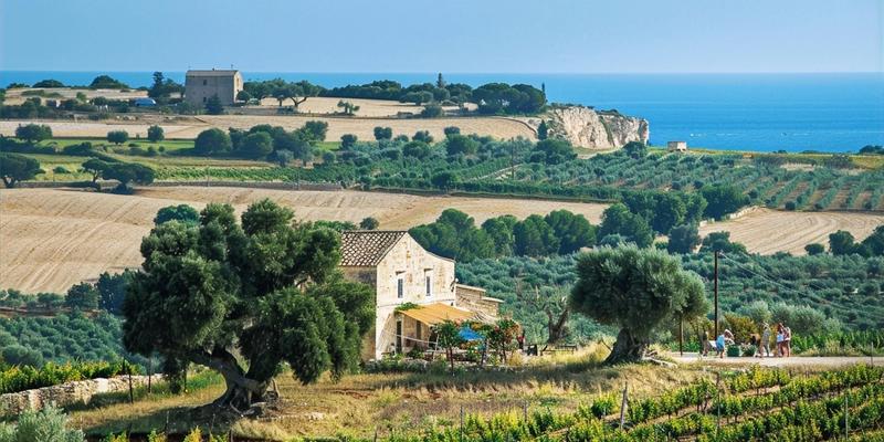 The €300,000 Trullo Disaster: Why Property Surveys Save Fortunes