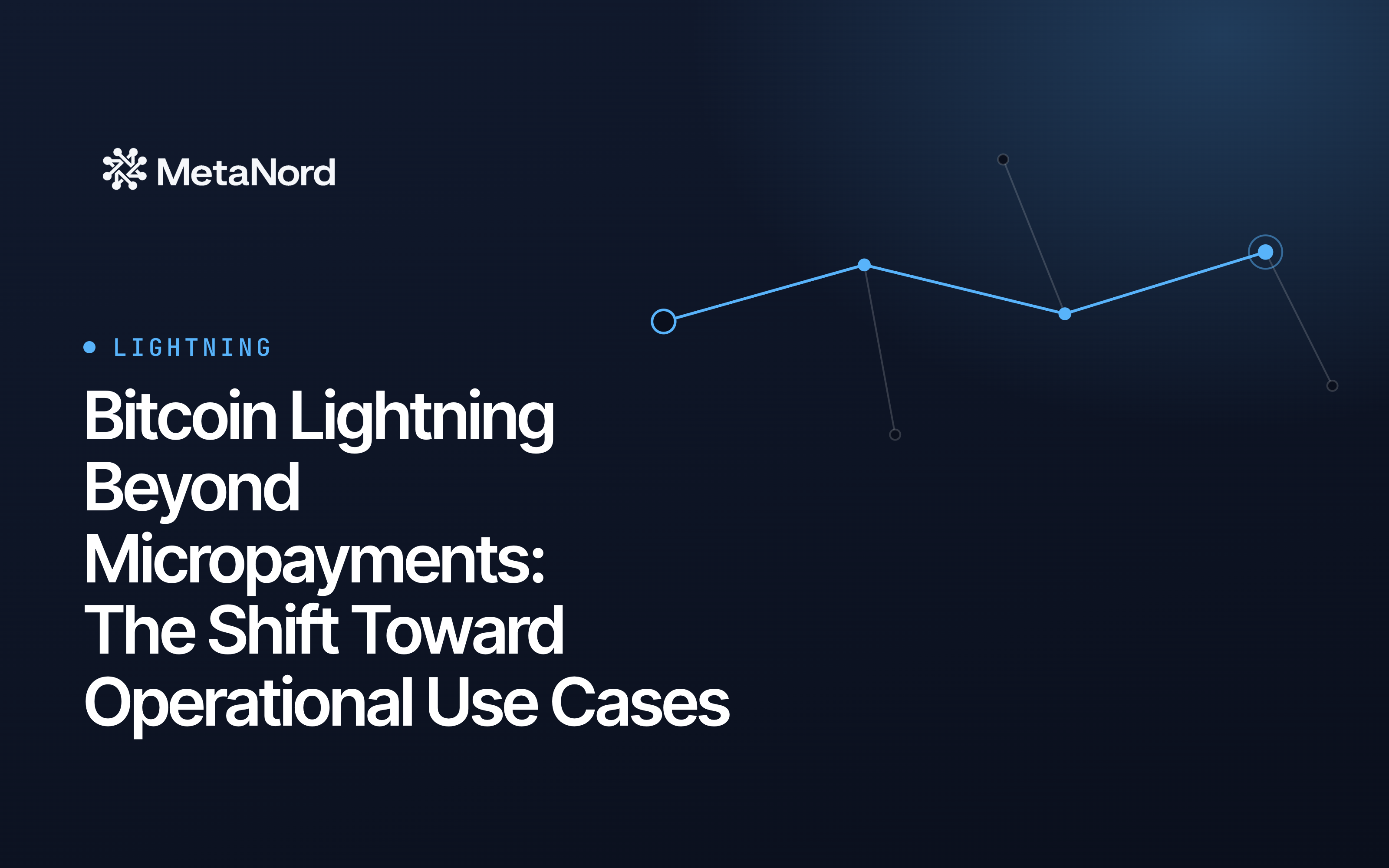 lightning network