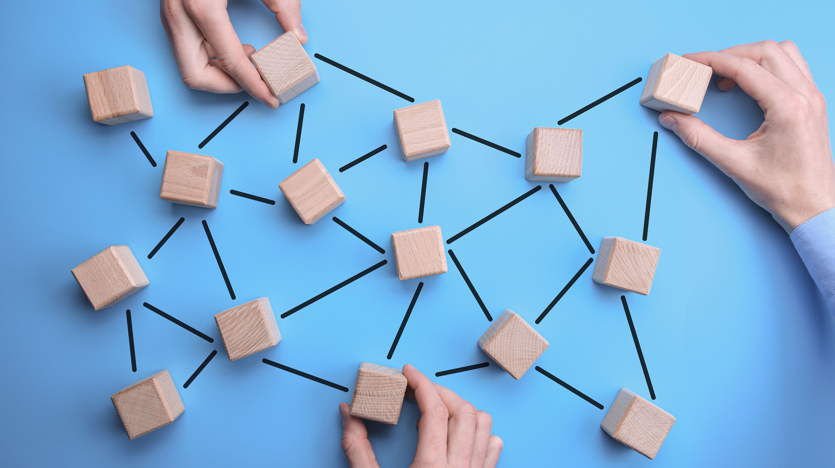 Wooden blocks representing multiple connected networks.