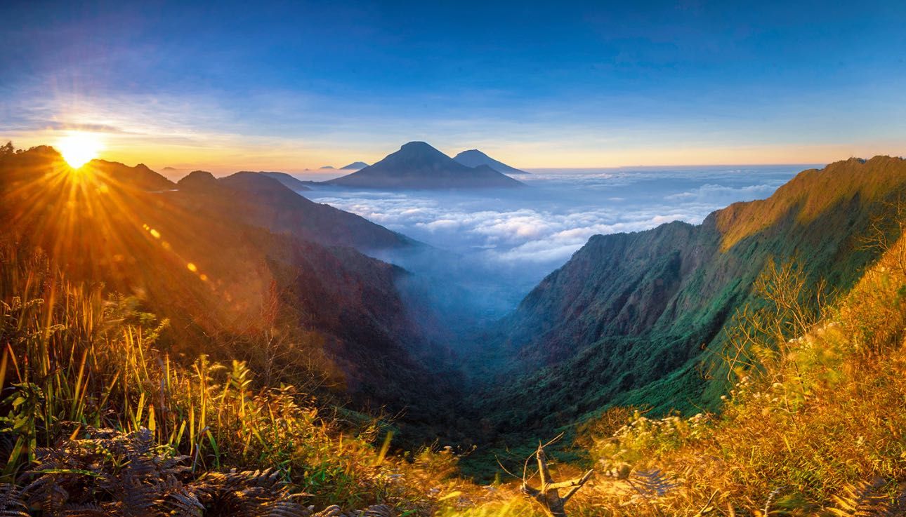 Panduan Berburu Sunrise di Gunung Bismo via Sikunang: Lebih Cepat & Santai.