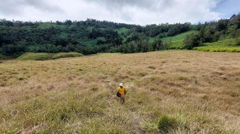 Hidden Gem Dieng yang Bikin Feed IG Kamu Anti-Mainstream!