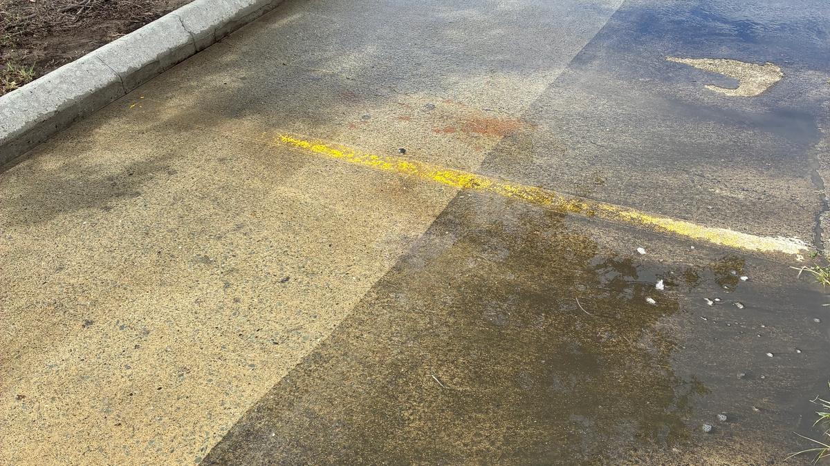 Pressure Cleaning