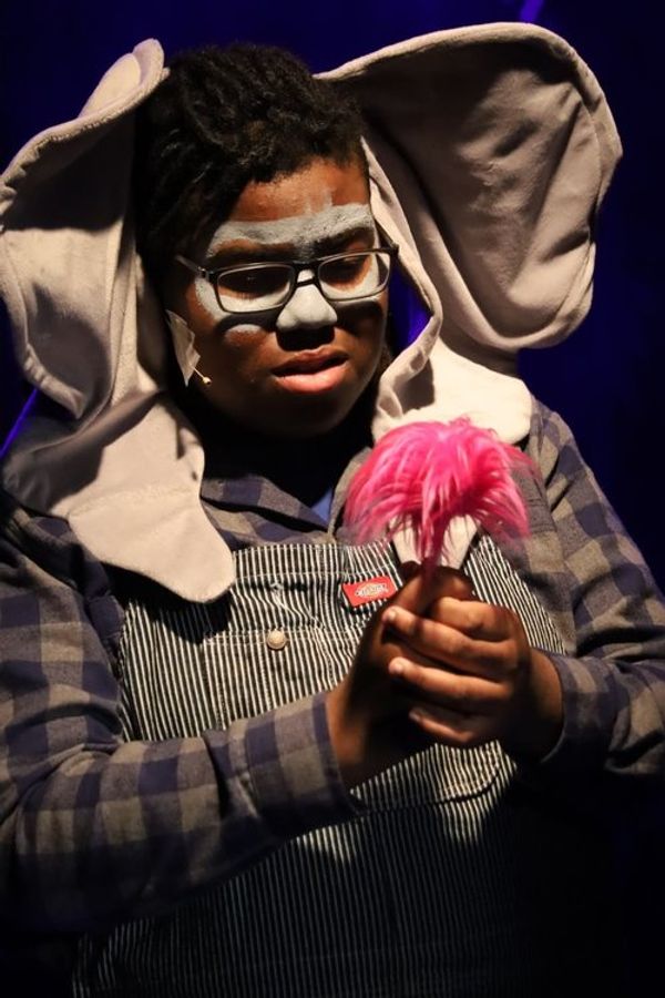Seussical Jr. gallery image 11