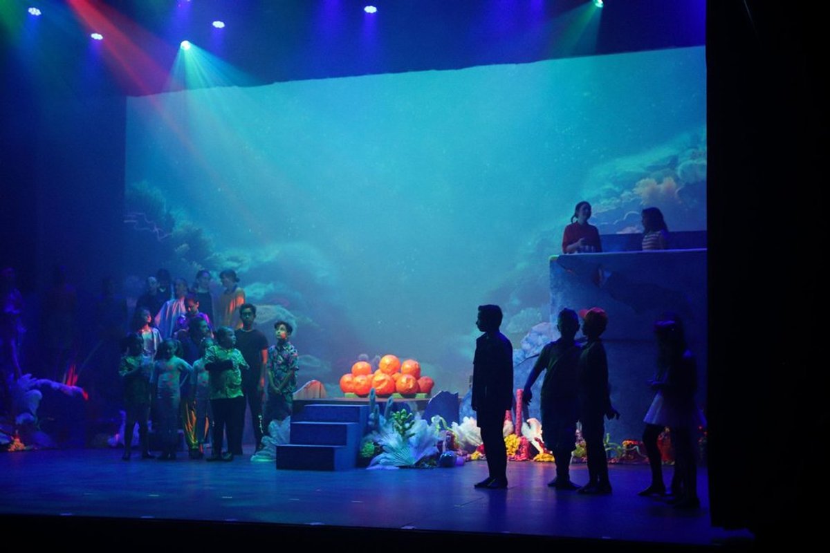 Finding Nemo Jr. gallery image 9