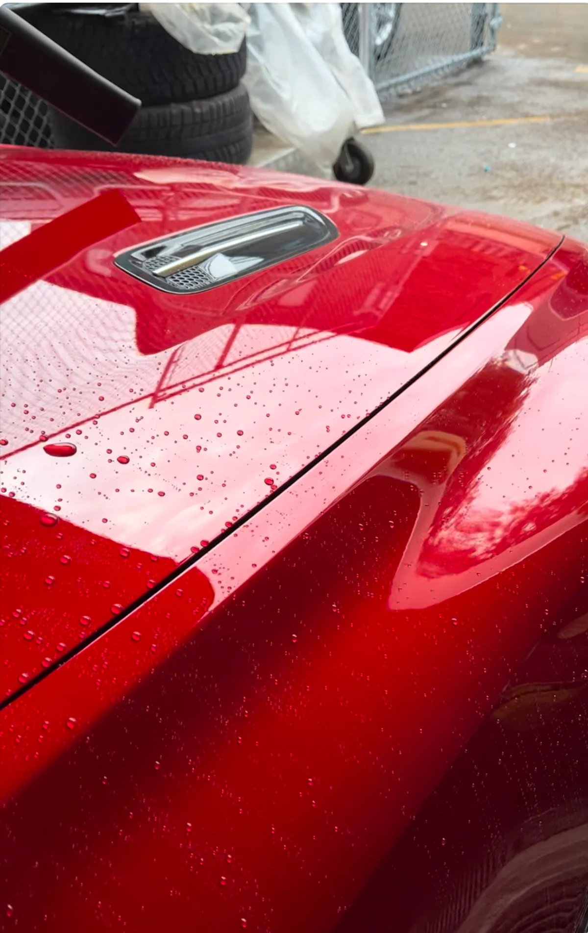 Car hood showing hydrophobic water beading after professional ceramic coating at Beyond Detail Scarborough.