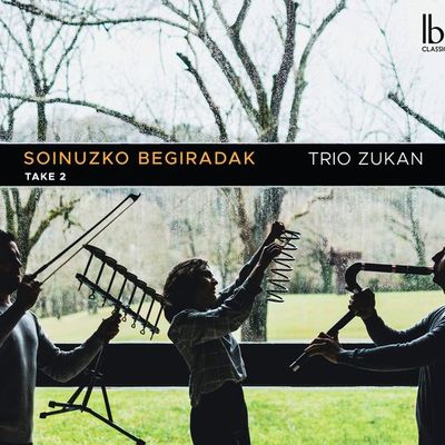 Soinuzko Begiradak