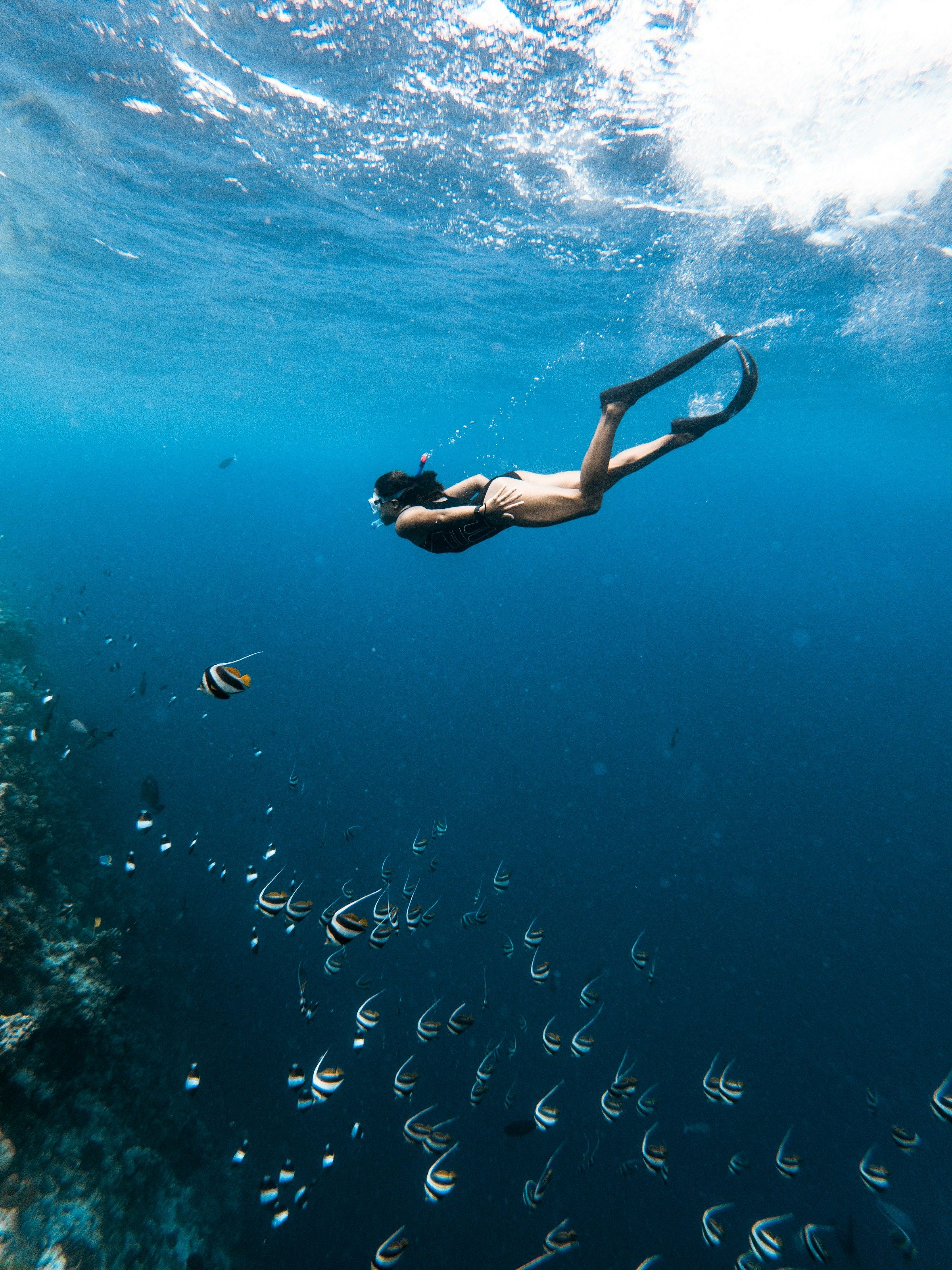 A woman snorkelling with a school of fish