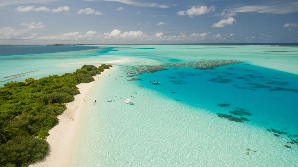 A white yacht on blue water beside a palm-lined island