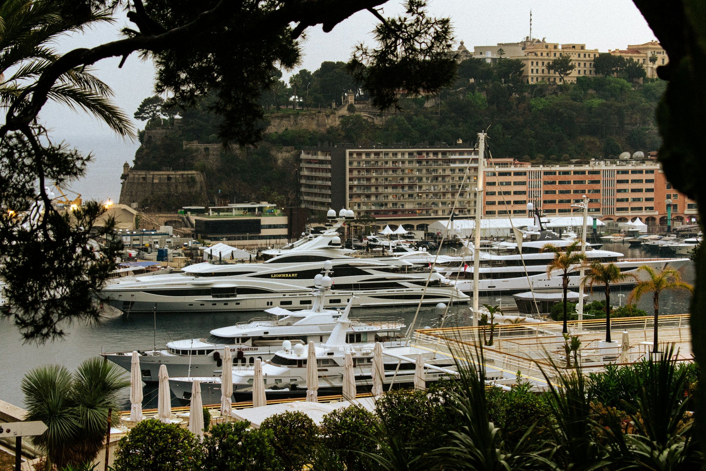A marina filled with white yachts