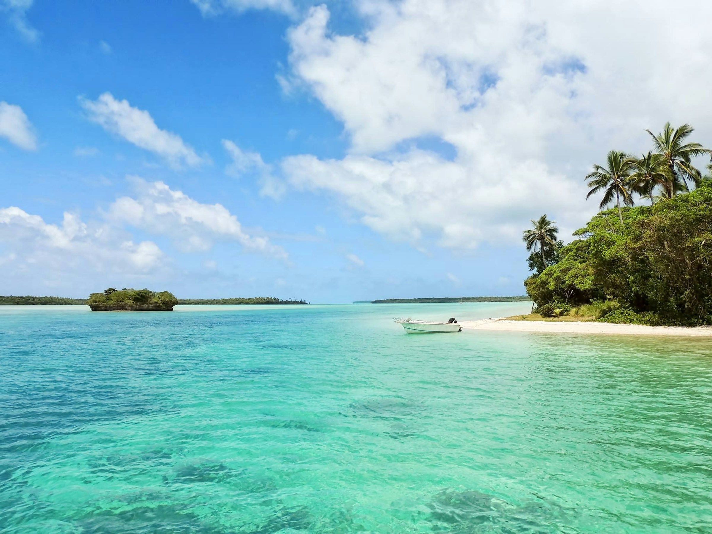 A white boat by green palm trees