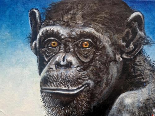 Monkey/TikTok 1 – 5
