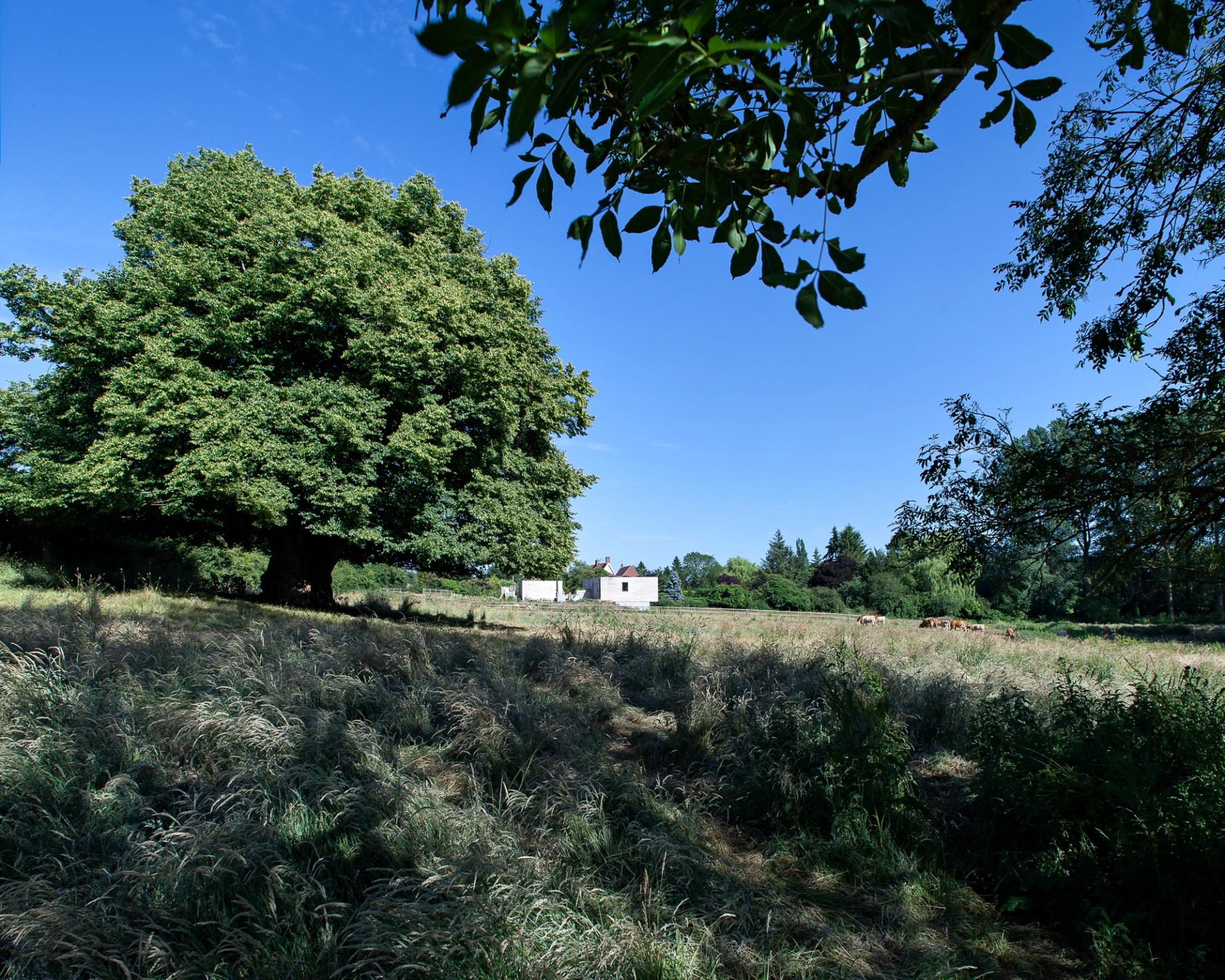 Field shot of Periscope House in the distance
