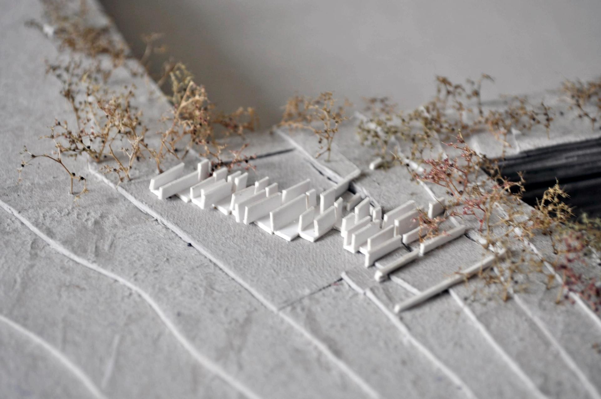 Image of Grain House model showing topography