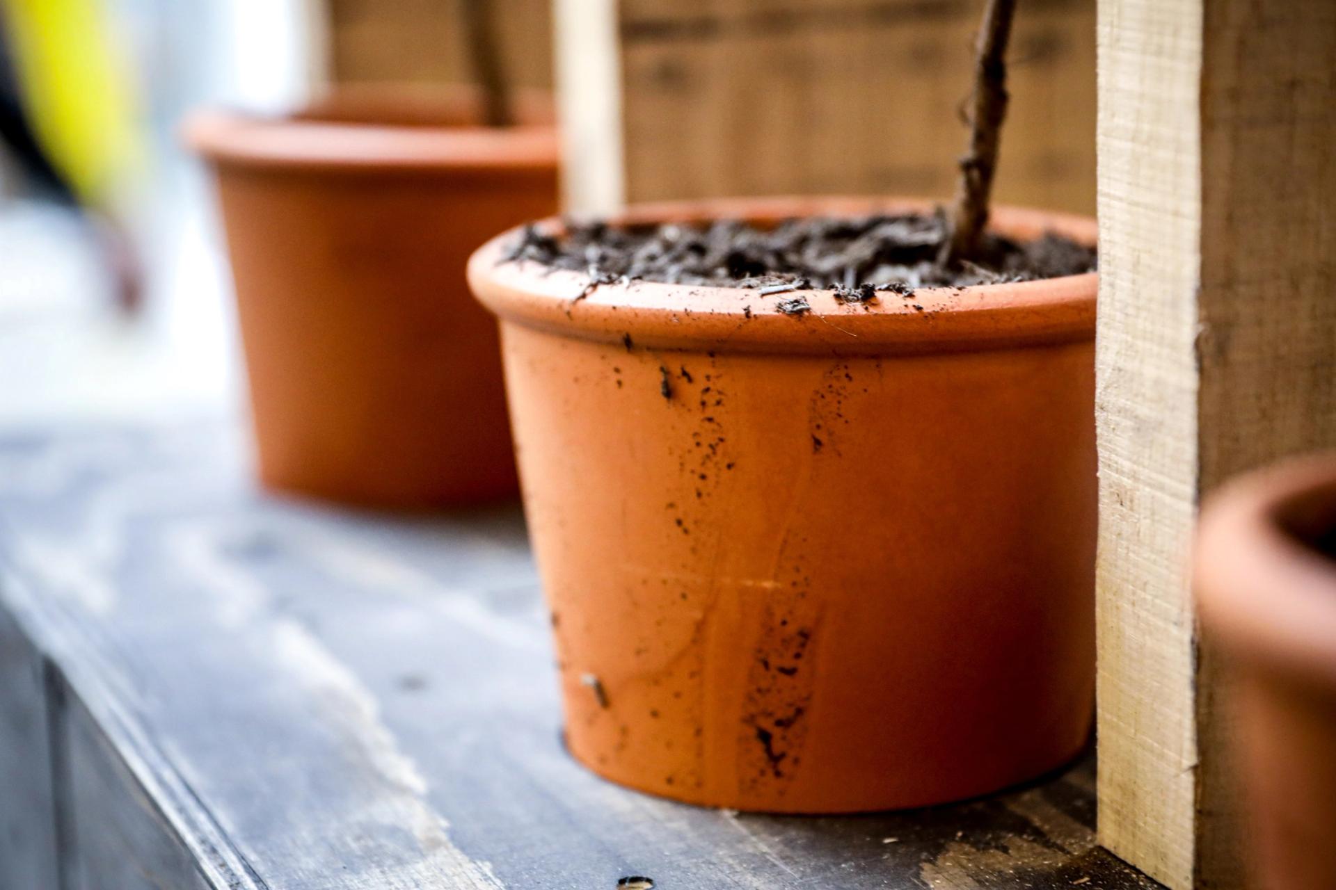 Photo of plantpot sitting in a wooden structure with a canopy