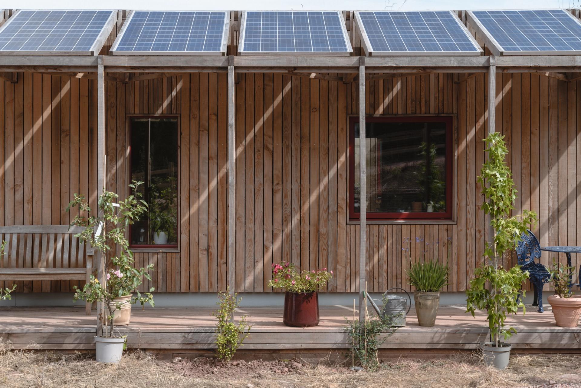 Explore Studio Bark - Read the story