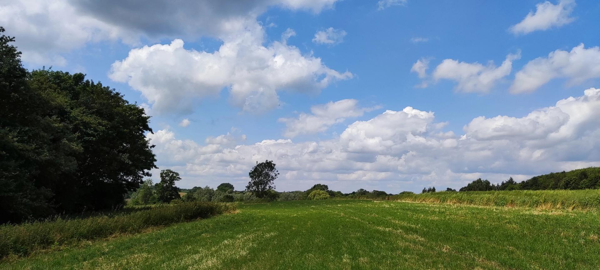 Cover Image for Farm Diversification