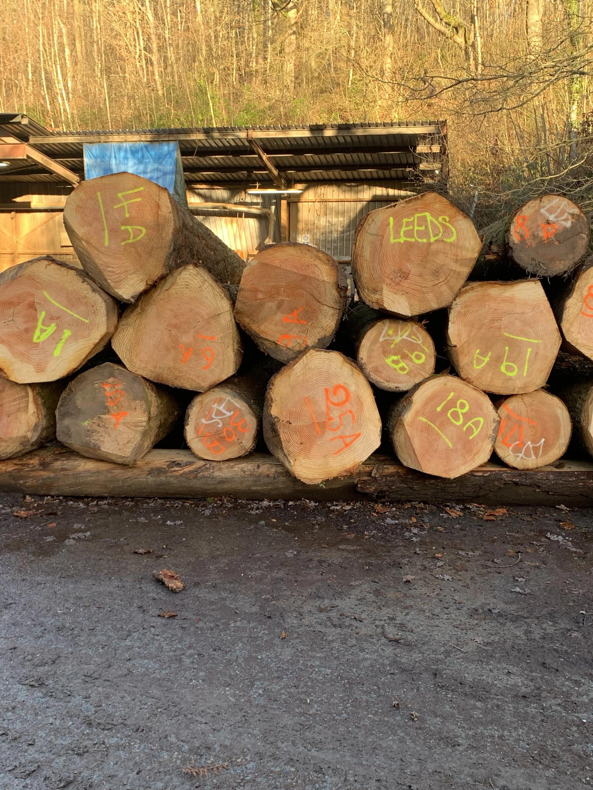 Timber supply chain