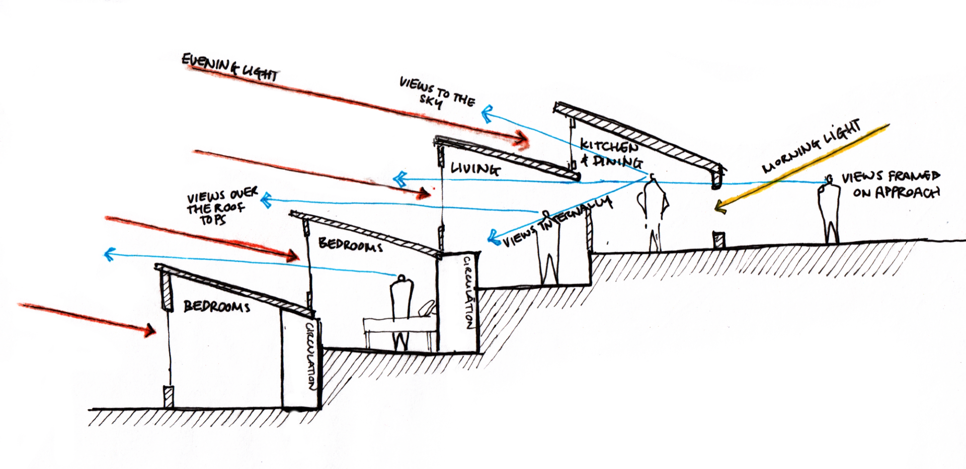 Section sketch by Studio Bark 
