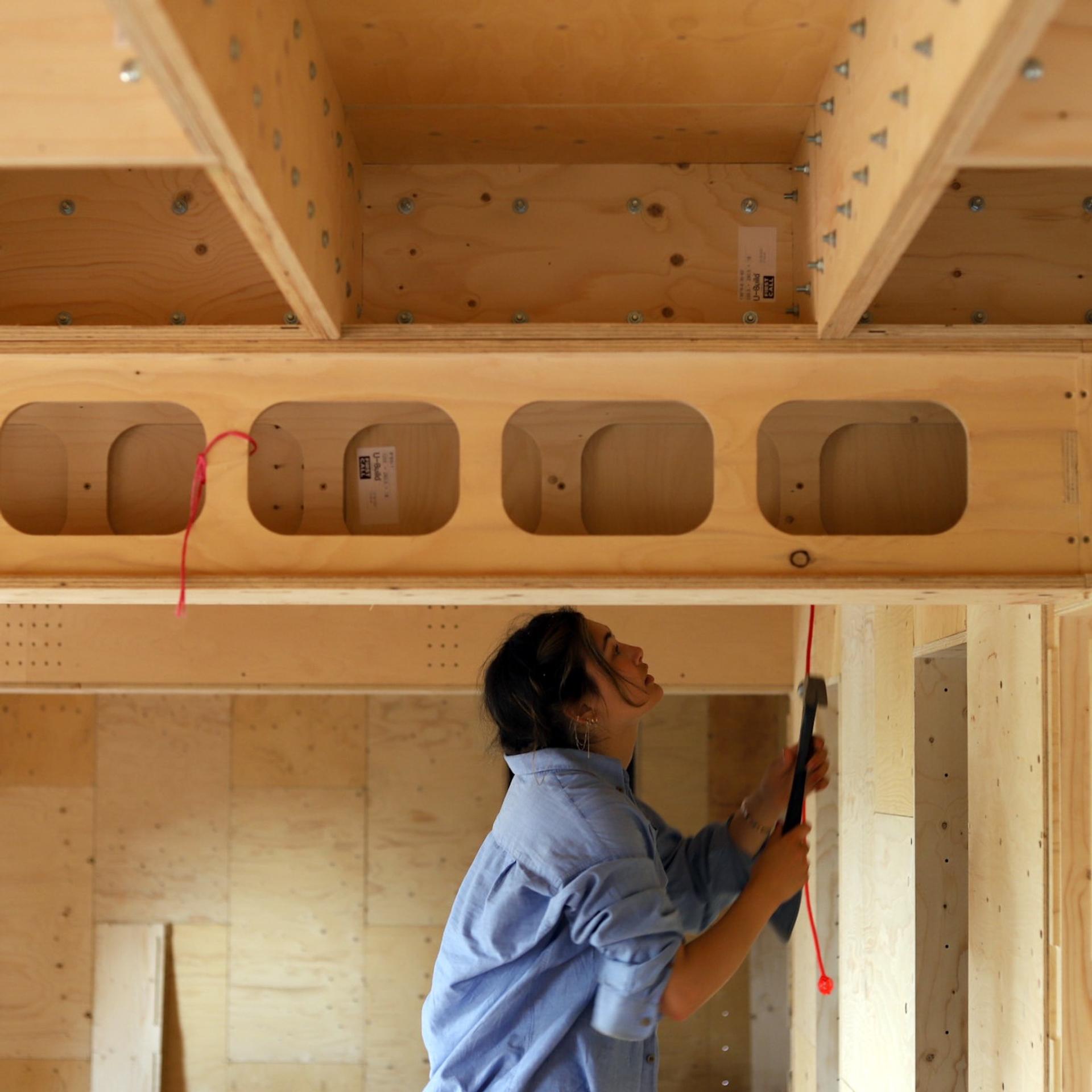 Explore Studio Bark - What is NBAU?