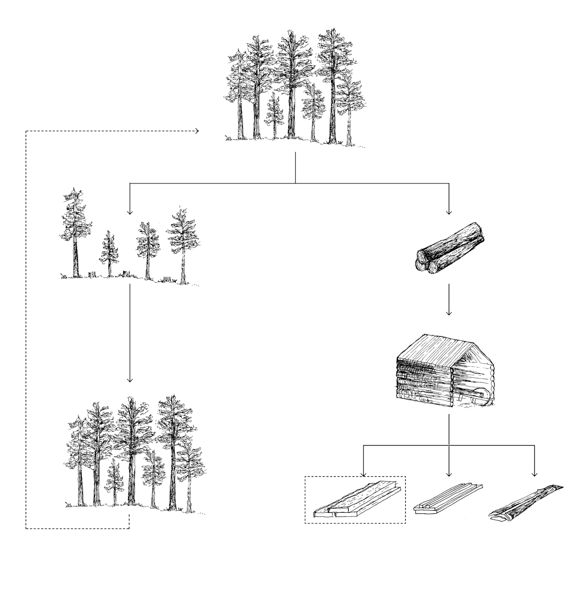 Timber Supply Chain - Making A Stand - Studio Bark and Michael Pinsky
