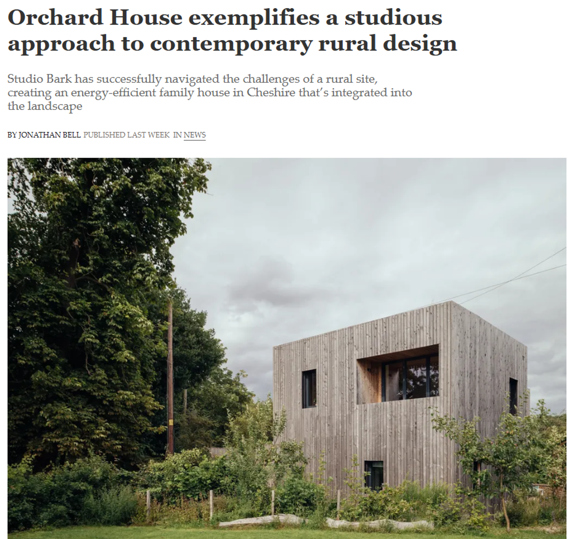 Explore Studio Bark - Read the piece