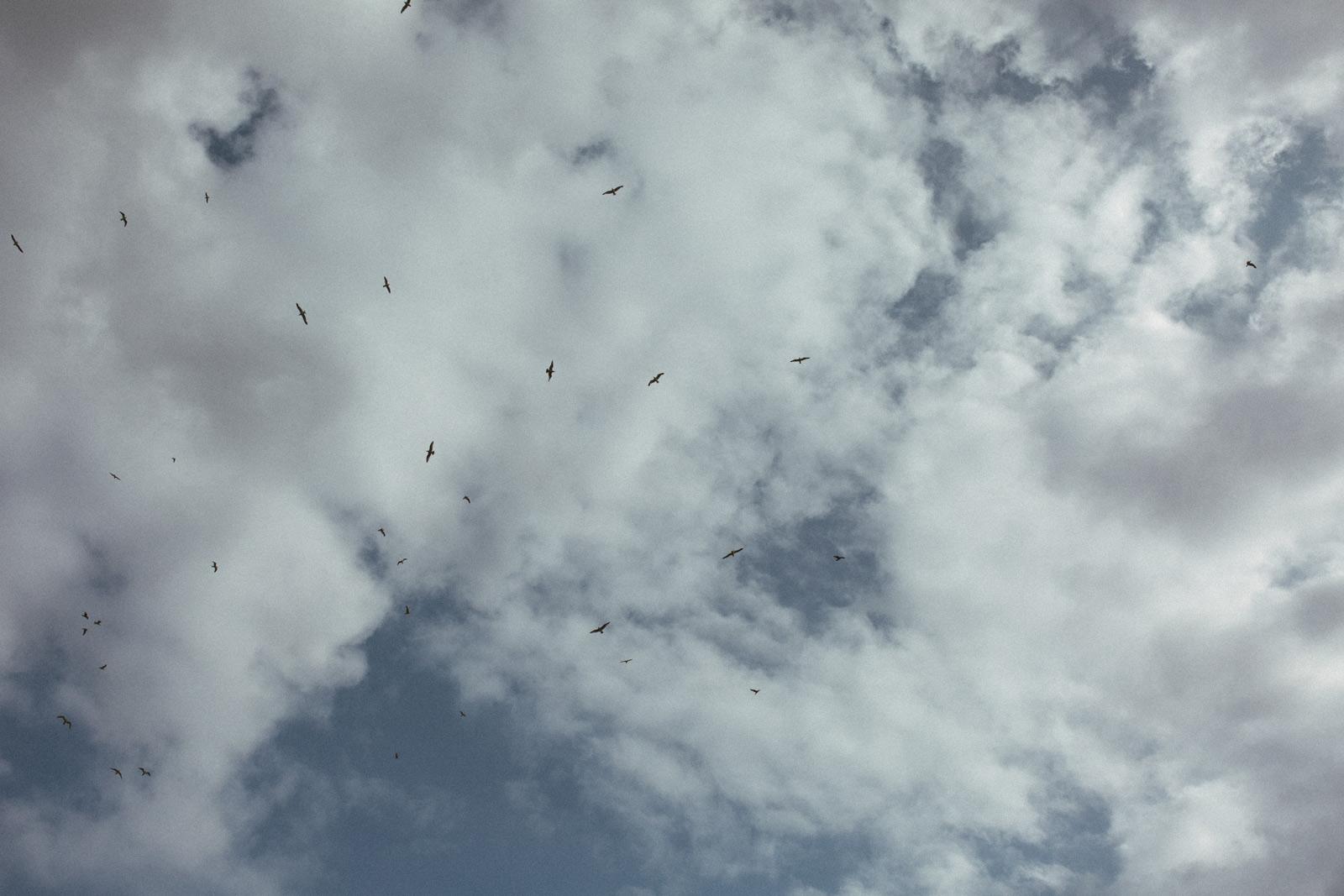 Sky with clouds and birds in the English countryside
