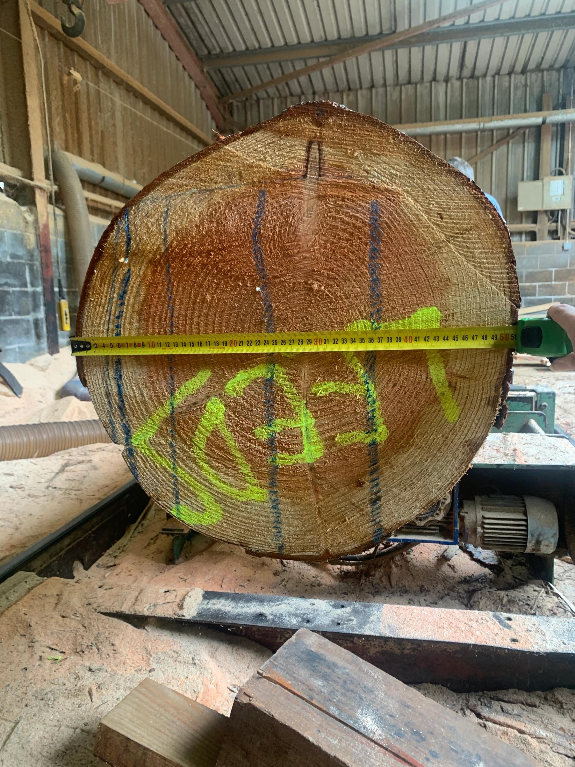 Timber is labelled and measured