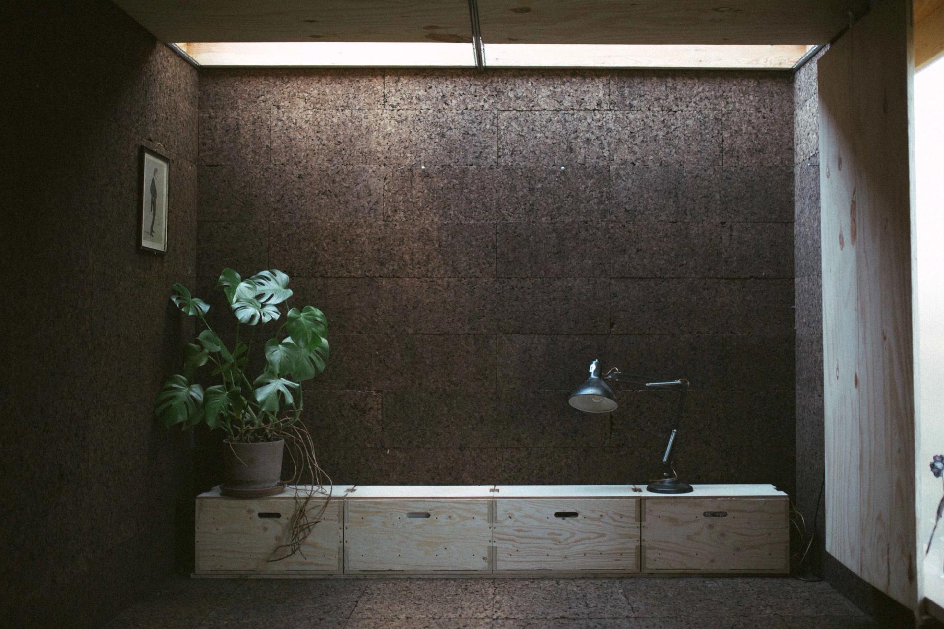 Explore Studio Bark - Find out more
