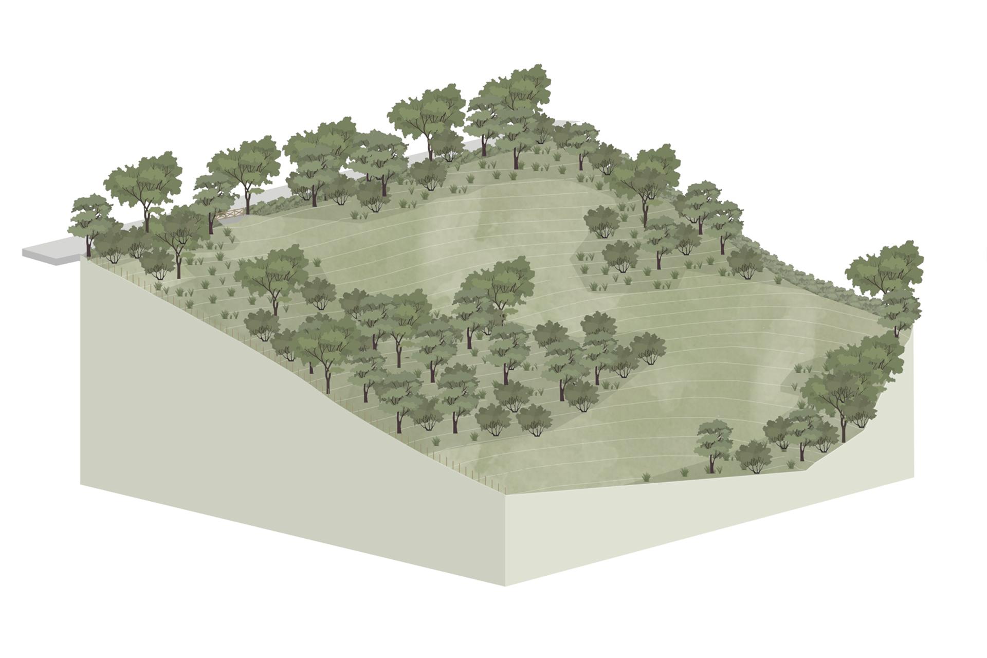 Drawing of the rural site of Spring Wood House