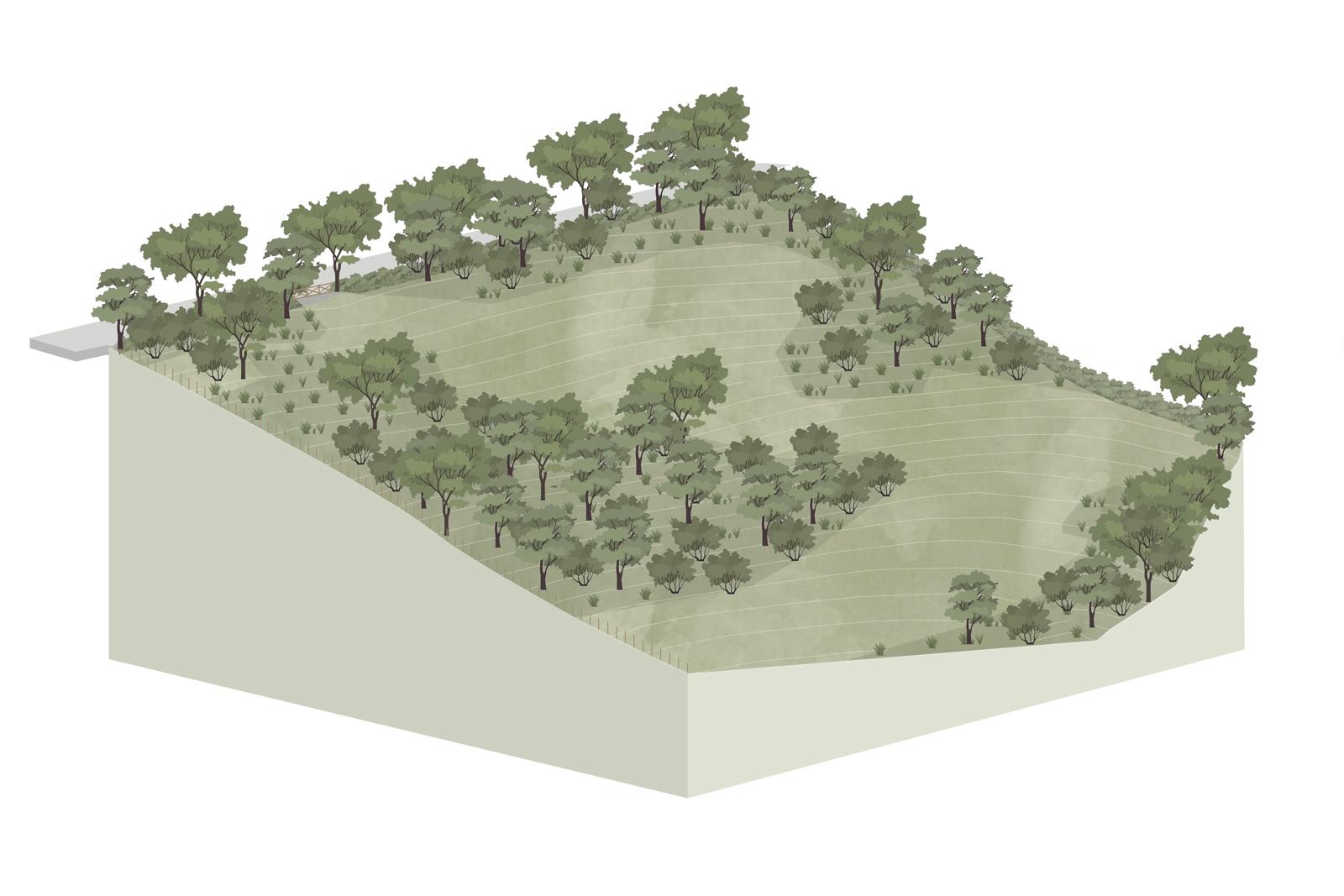 Drawing of the rural site of Spring Wood House