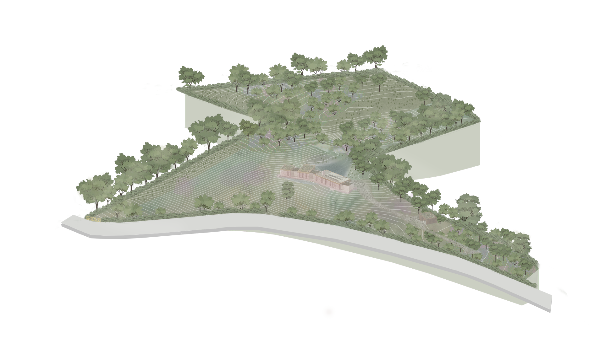 Site at Quiet House - year 0 - site axo