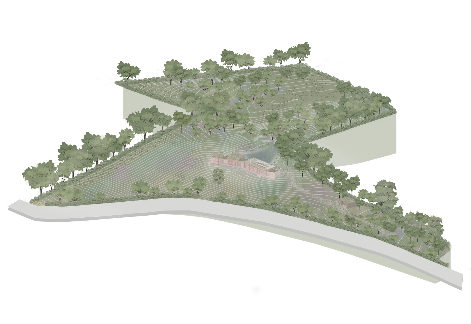 Site at Quiet House - year 0 - site axo