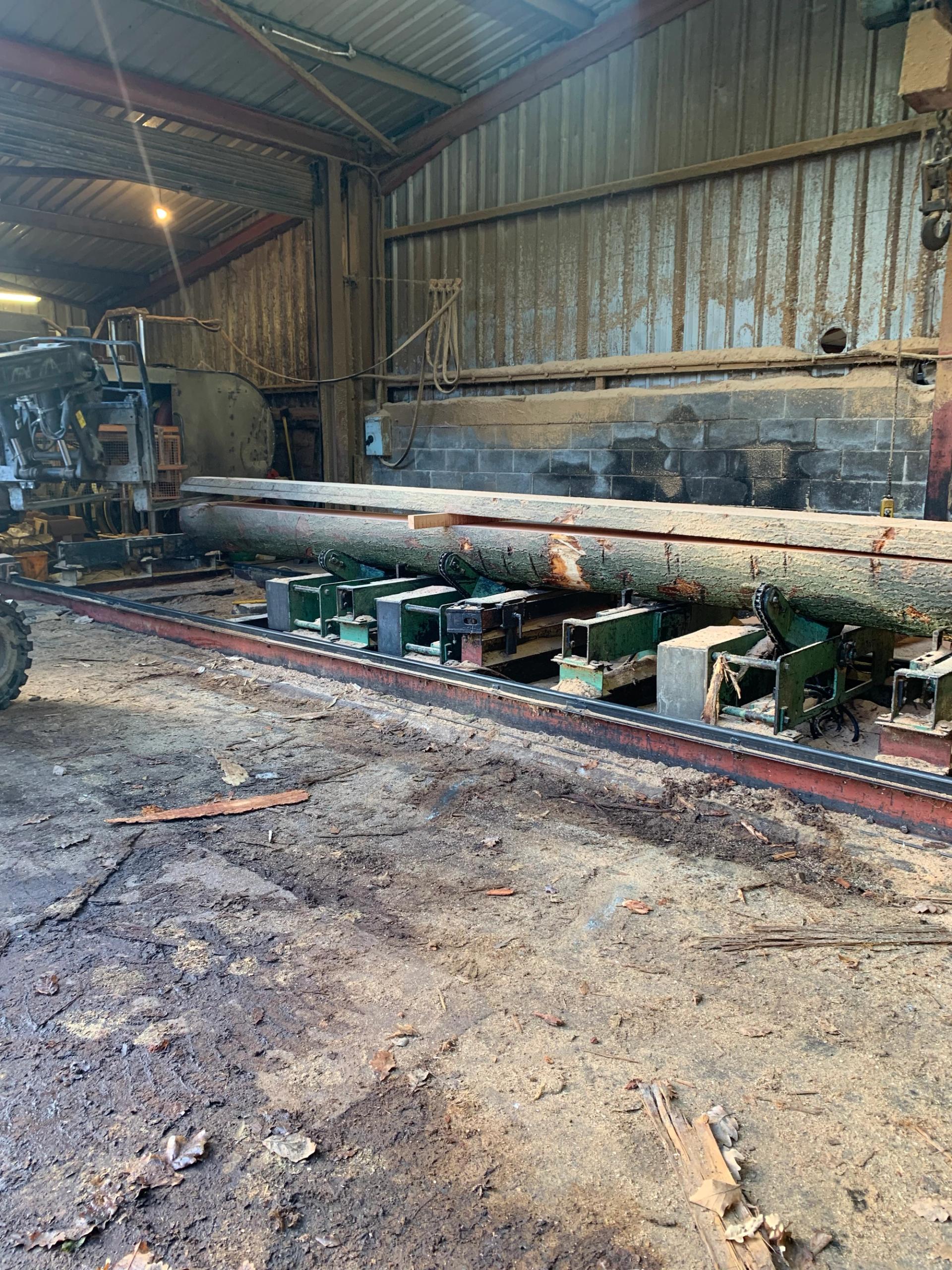 Trees being processed at the timber mill