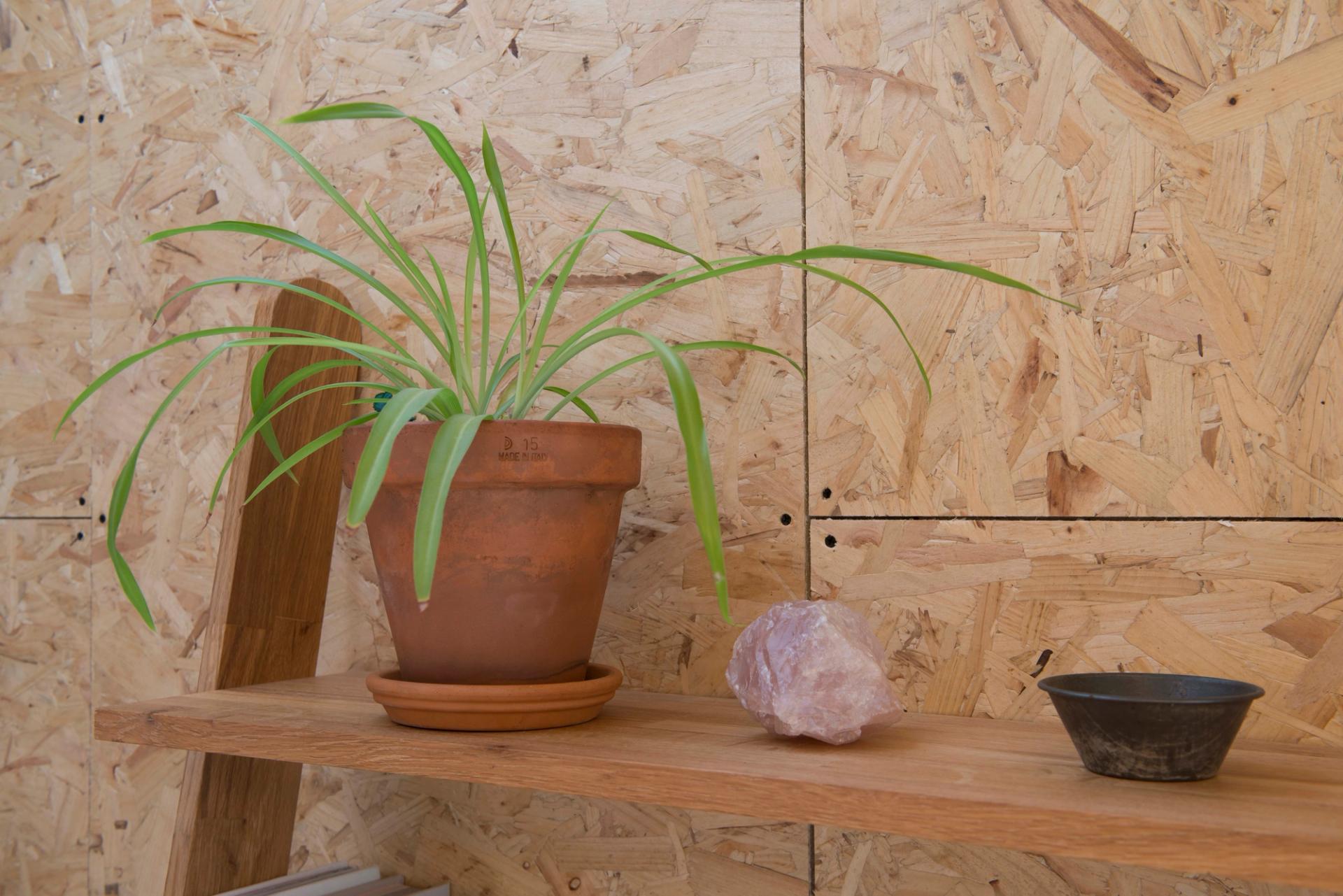 Homely details at the SHED project