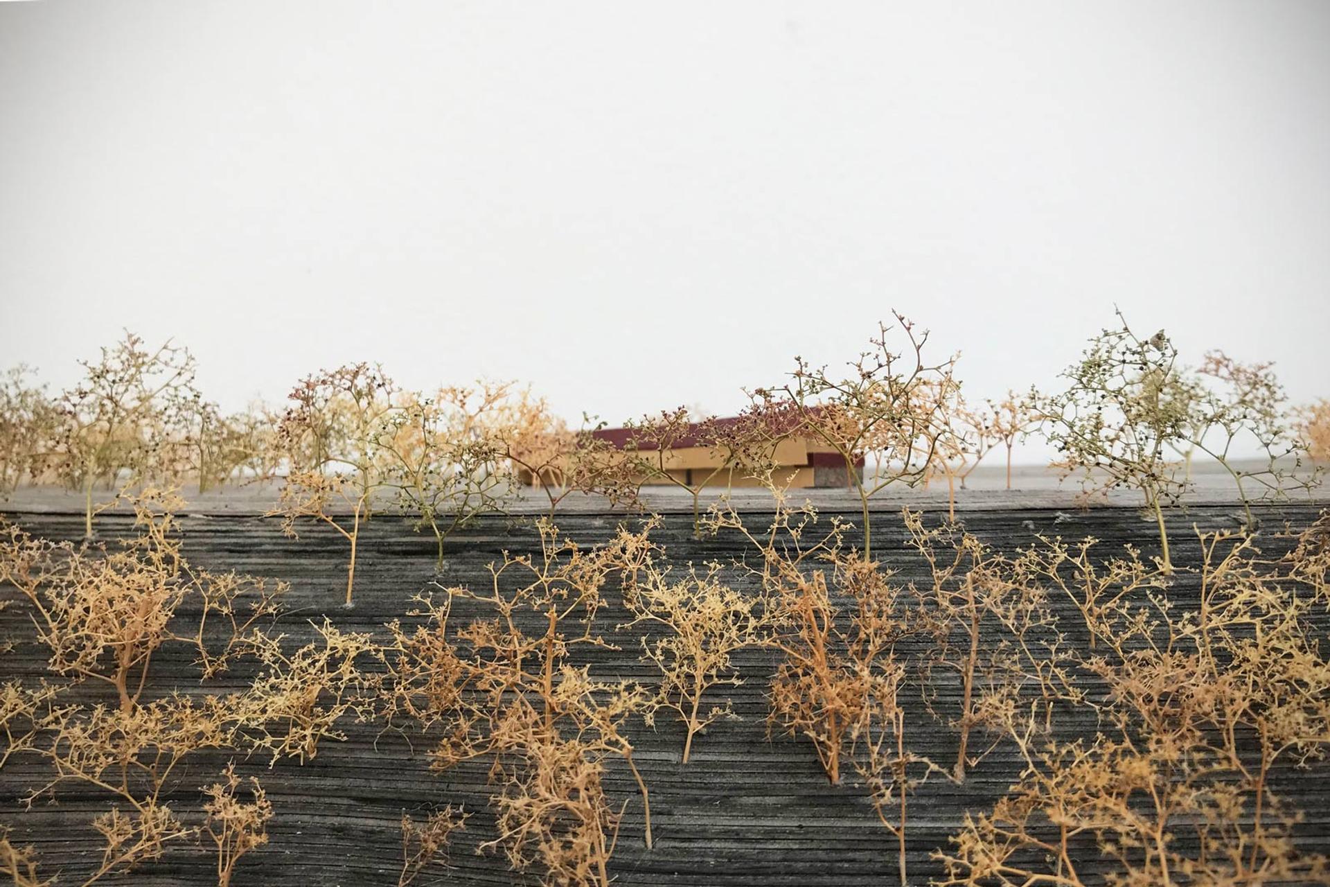 Model of Cliff Farm with trees