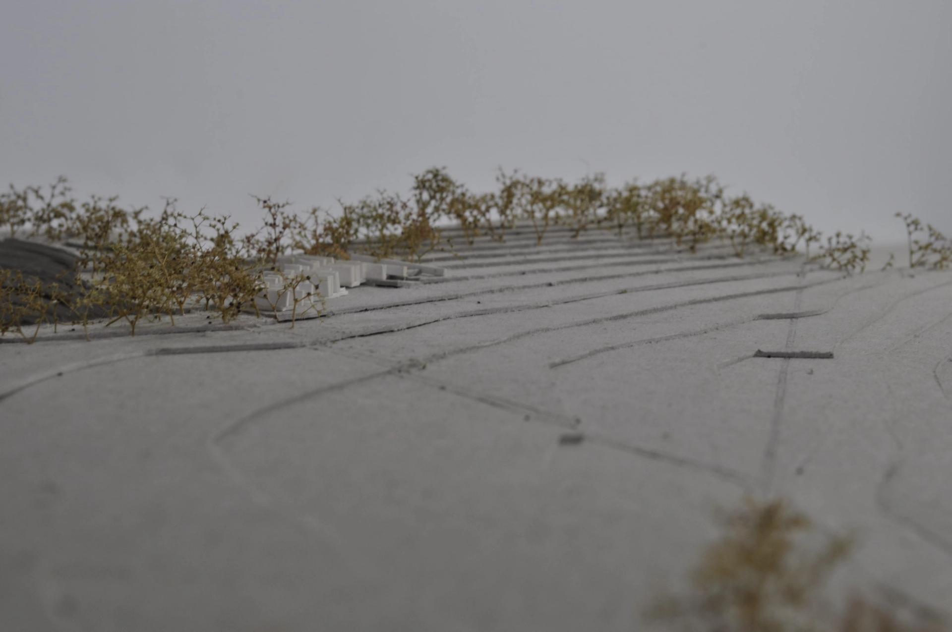 Image of Grain House model showing topography