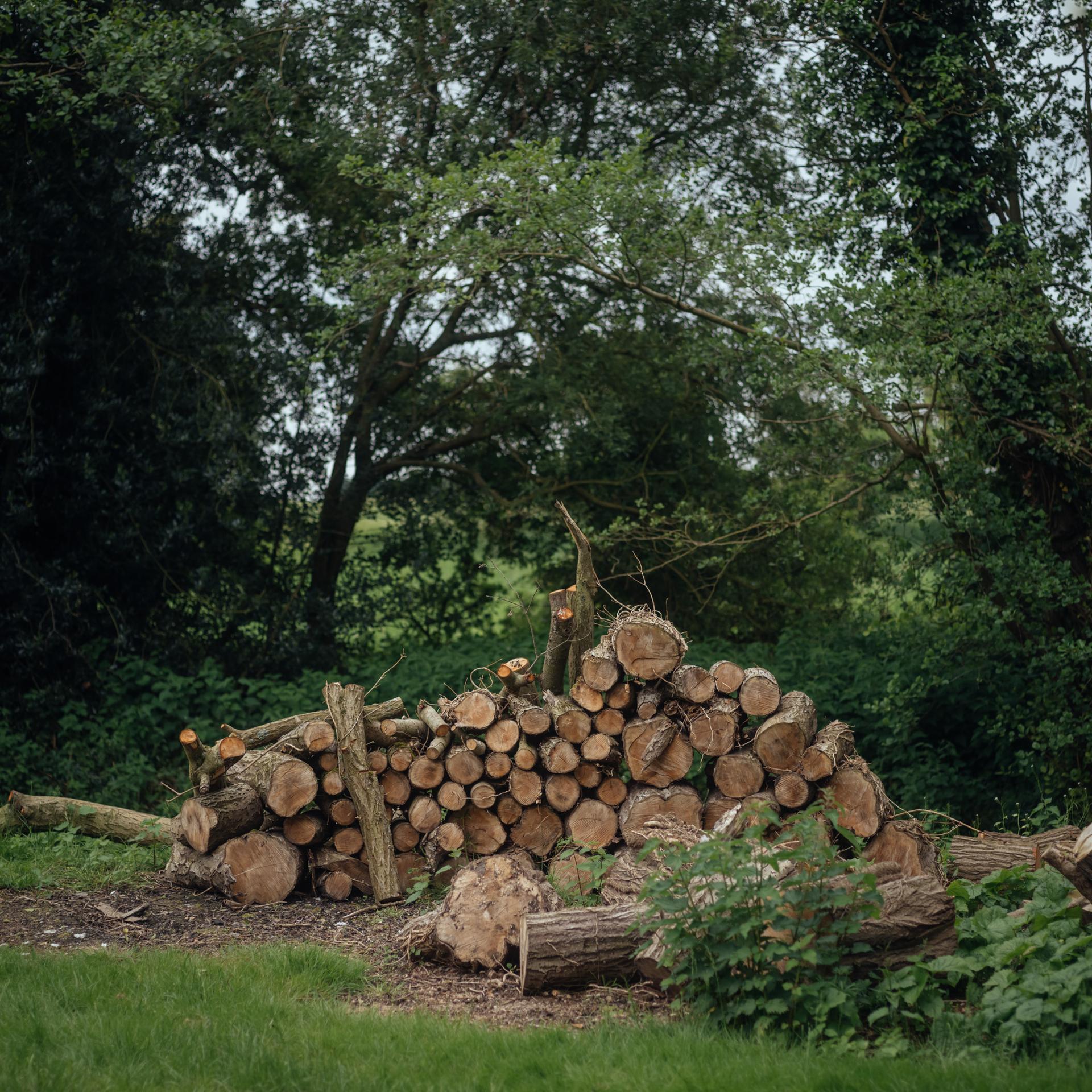 Timber stack